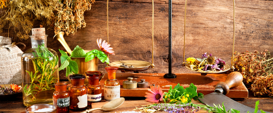 Coming Soon: "Total Wellness" Program!