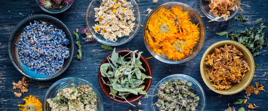 Premium Small Batch Wellness Products